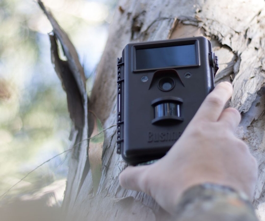 Picture for category *ELECTRICAL*