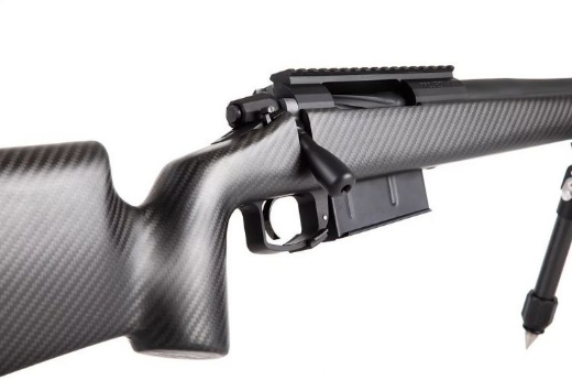 Picture for category 01.FIREARMS