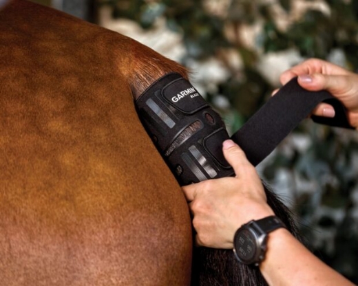 Picture of GARMIN BLAZE EQUINE WELLNESS SYSTEM
