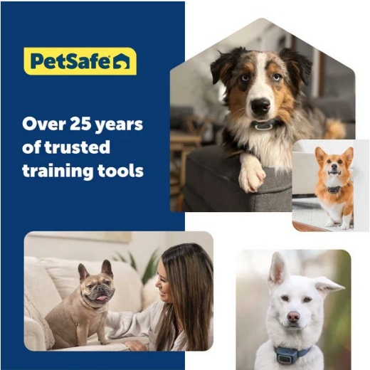 Picture of 300M CORE DOG REMOTE TRAINER,  PETSAFE- PDT10-18037