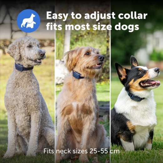 Picture of 300M CORE DOG REMOTE TRAINER,  PETSAFE- PDT10-18037
