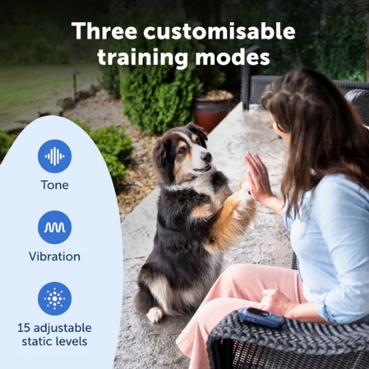 Picture of 300M CORE DOG REMOTE TRAINER,  PETSAFE- PDT10-18037
