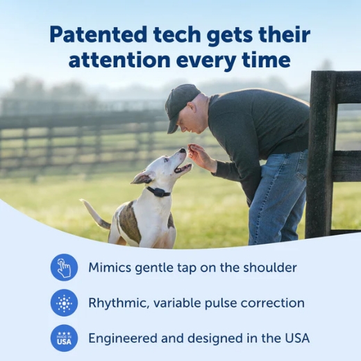 Picture of ADD-A-DOG COLLAR SUIT 300M CORE REMOTE TRAINER,  PETSAFE- PAC10-18100