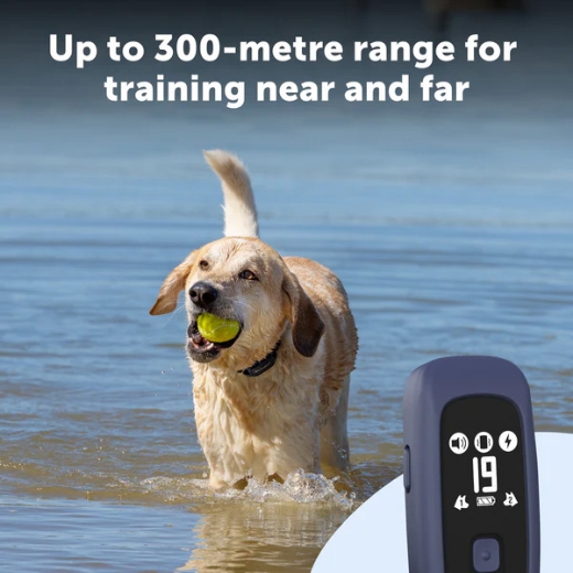 Picture of 300M PRO DOG REMOTE TRAINER,  PETSAFE- PDT10-18039