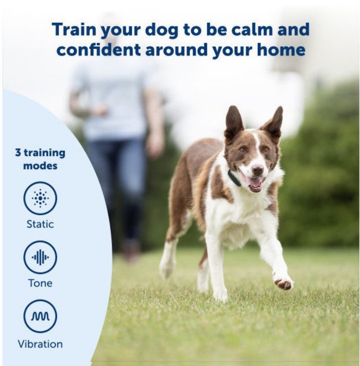 Picture of BASIC DOG REMOTE TRAINER 90M,  PETSAFE- PDT10-18035
